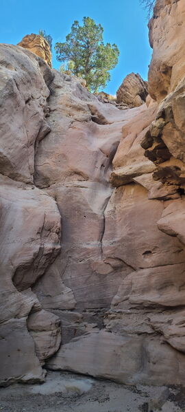 File:Knee Canyon (South) pic005.jpg