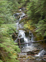 Olallie Creek-20180916183638 pic.jpg