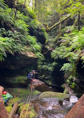 Waterfall Creek (Mount Wilson) Banner.jpg