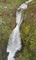 Young Creek-20250116052110 pic.jpg