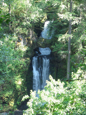 Curly Creek Banner.jpg