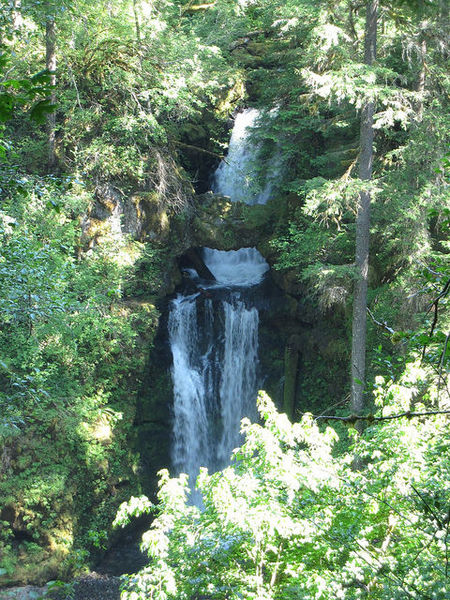 File:Curly Creek Banner.jpg