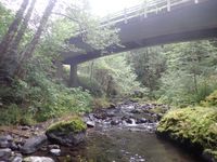 Fools Canyon (Olympic Peninsula)-20200923145610 pic.jpg