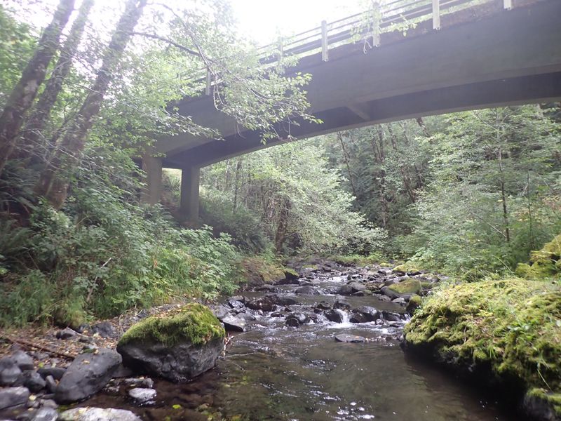 File:Fools Canyon (Olympic Peninsula)-20200923145610 pic.jpg