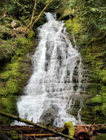 Hopkins Creek-20220403061250 pic.jpg