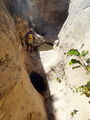 Thumbnail for version as of 12:35, 2 October 2023