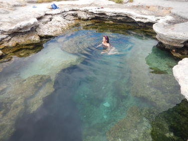 Meadow Hot Spring Banner.jpg