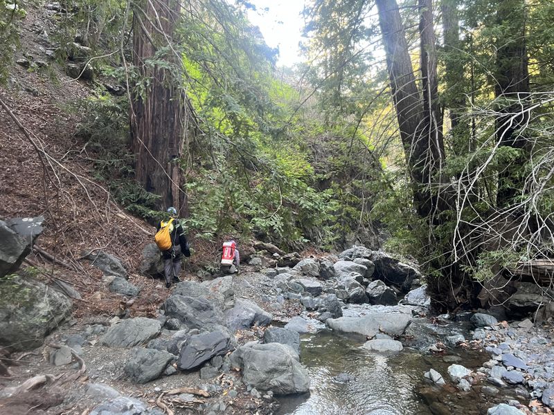 File:Alder Creek (Christmas Canyon) Rw-fc.jpg