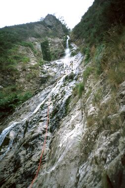 Irusta Banner.jpg