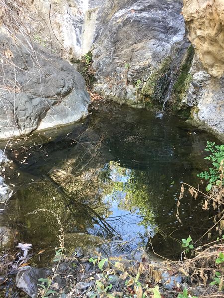 File:Laurel Springs Canyon img8017.jpg