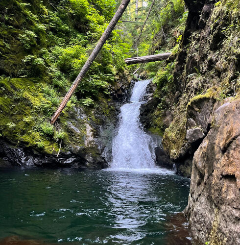 Cougar Creek-20230708204047 pic.jpg