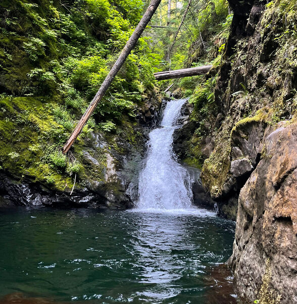 File:Cougar Creek-20230708204047 pic.jpg