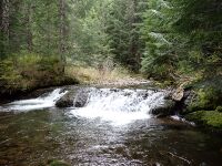 Fossil Creek (Mt. St. Helens)-20250505032948 pic.jpg