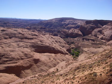 Hog 4 Canyon (Miss Piggy) Banner.jpg
