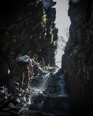 Home Creek Banner.jpg