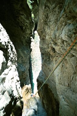 Variola (Lower) Banner.jpg