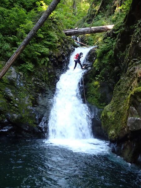 File:Cougar Creek R7.jpg