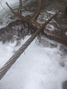 Fools Canyon (Olympic Peninsula) cable.jpg