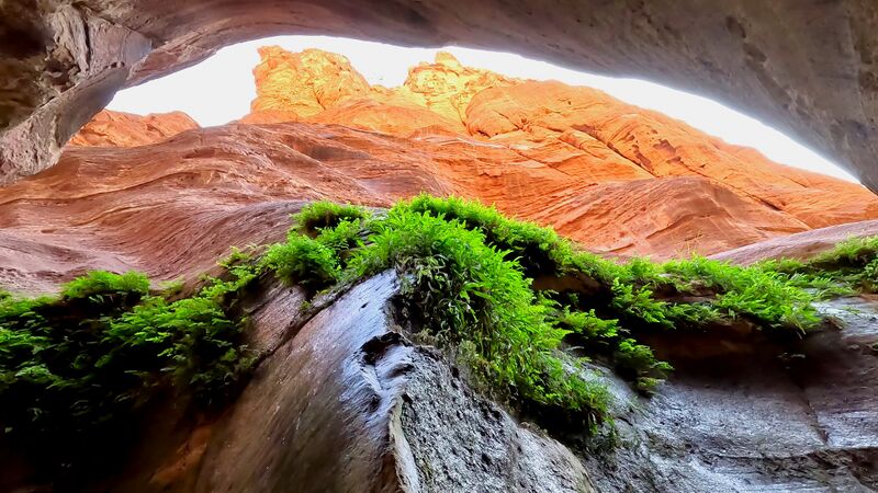 File:Ghuweir green2.jpg