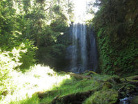Hemlock Creek-20170620213620 pic.jpg