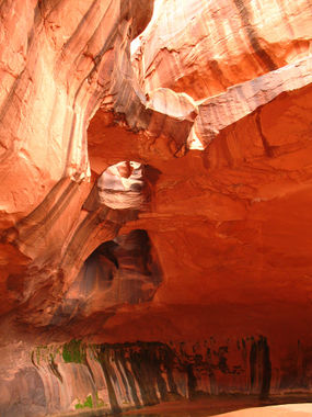 Neon Canyon Banner.jpg