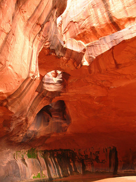 File:Neon Canyon Banner.jpg