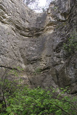 Sam's Canyon Banner.jpg