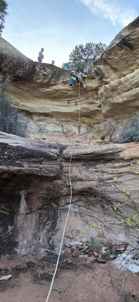 File:Serpent's Tail pic002.jpg