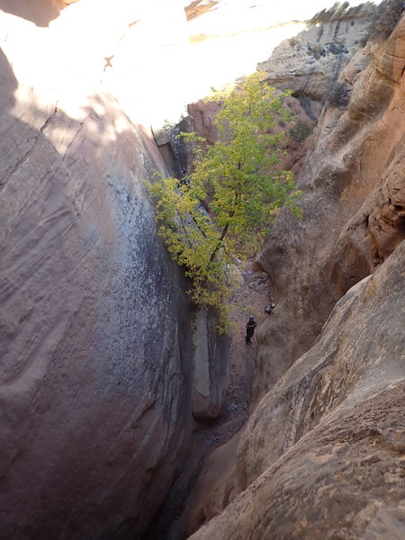 File:West Serviceberry Draw pic2.jpg