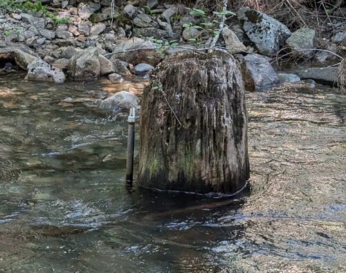 Mineral Creek (Alpine Lakes)-20240708071426 pic.jpg
