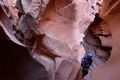 Thumbnail for version as of 17:33, 2 November 2020