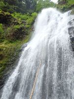 Panther Creek (Oregon)-20200819025306 pic.jpg