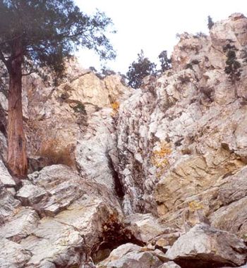 Sheep Canyon Banner.jpg