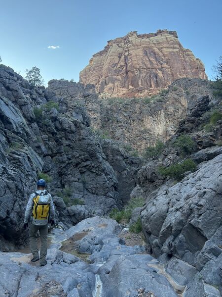 File:Chasm Canyon pic010.jpg