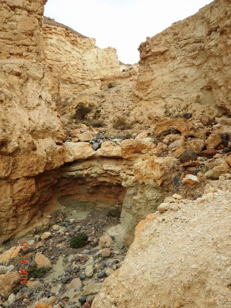 File:Half Moon Canyon Banner.jpg