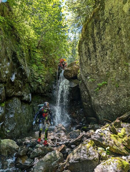 File:Hungry Bear r1.jpg