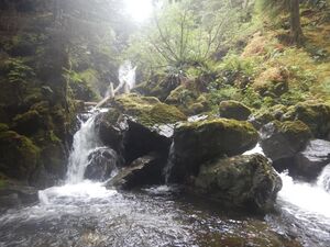 Looper Creek-20240823171112 pics4.jpg