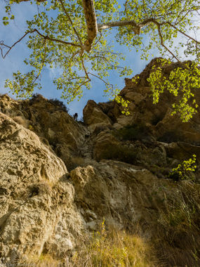 Rindge Gulch Banner.jpg