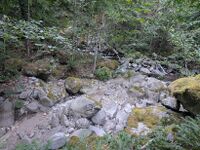 Damnation Creek-20250827044912 pic.jpg
