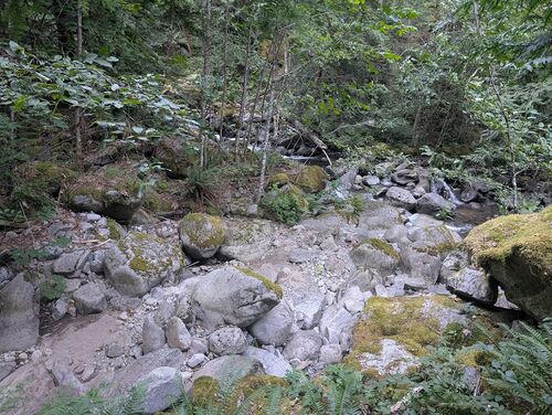 Damnation Creek-20250827044912 pic.jpg