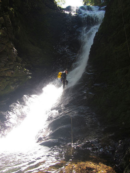 File:Dark Creek Banner.jpg