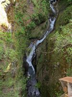 Davis Creek Canyon-20260510225516 pic.jpg