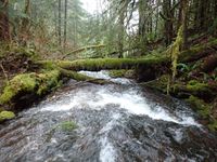 Lousignont Creek-20210104040728 pic.jpg