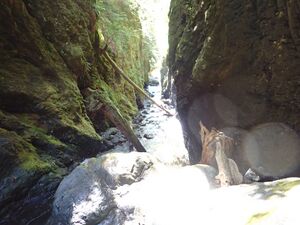 Narrows1.jpg