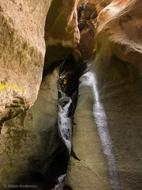 Pleiades Canyon Banner.jpg