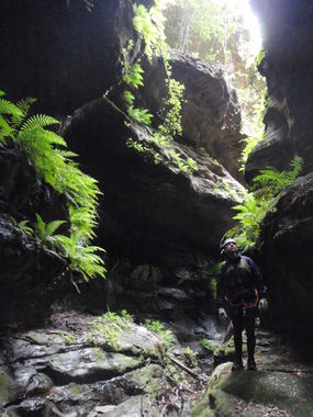 Grand Canyon (New South Wales) Banner.jpg
