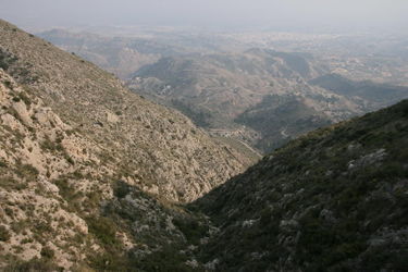 Barbereta Banner.jpg