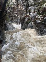 Eaton Canyon-20190215161414 pic.jpg