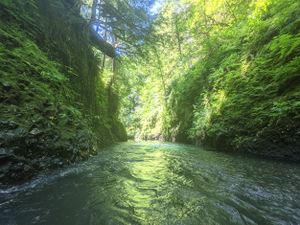 Fools Canyon (Olympic Peninsula) narrows.jpg