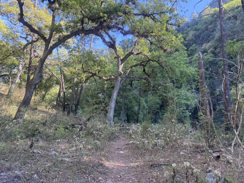 File:Matacanes exittrail.jpg